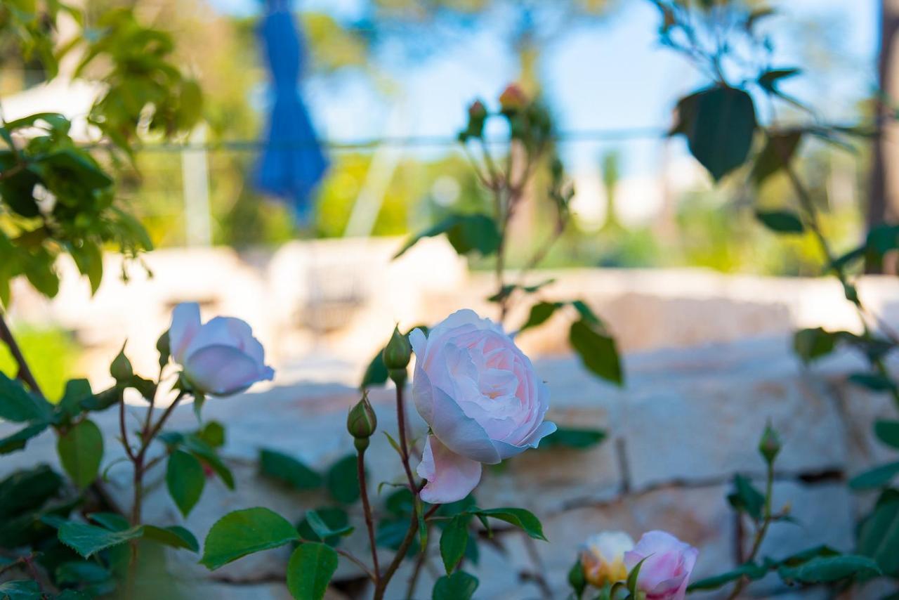 Borgo Dei Lecci Puglia Couette-café 3*