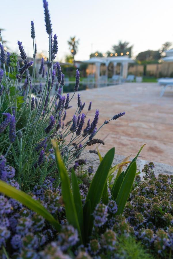 Borgo Dei Lecci Puglia Couette-café Selva Di Fasano